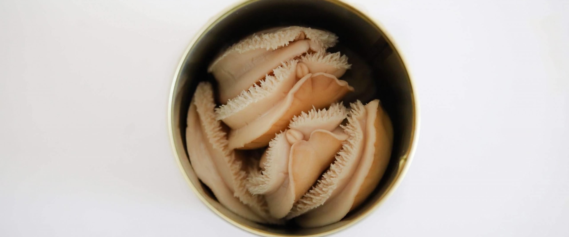 Pros and Cons of Specific Canned Abalone Products