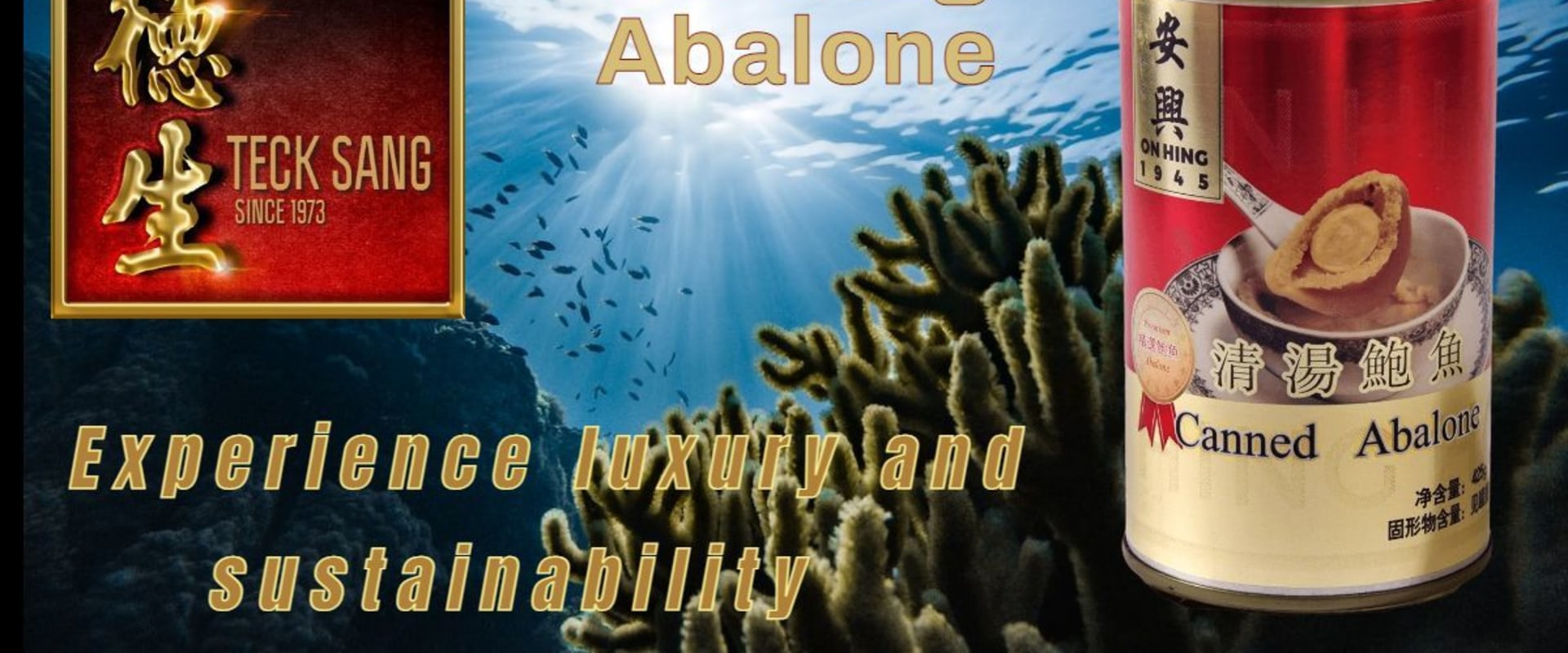 Affordable Canned Abalone: Budget-Friendly Seafood Delights