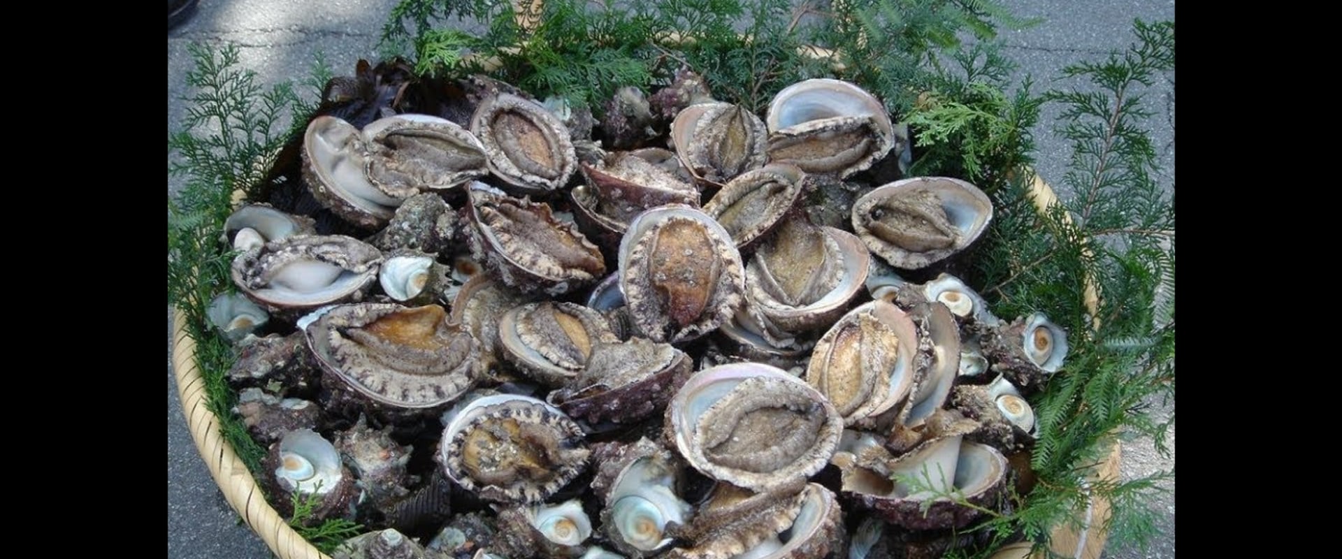 Sustainability Benefits of Buying Canned Abalone Products