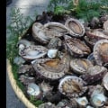 Sustainability Benefits of Buying Canned Abalone Products