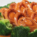 Braised Abalone & Broccoli In Oyster Sauce: A Premium Delight!