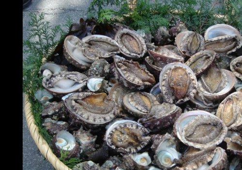 Sustainability Benefits of Buying Canned Abalone Products